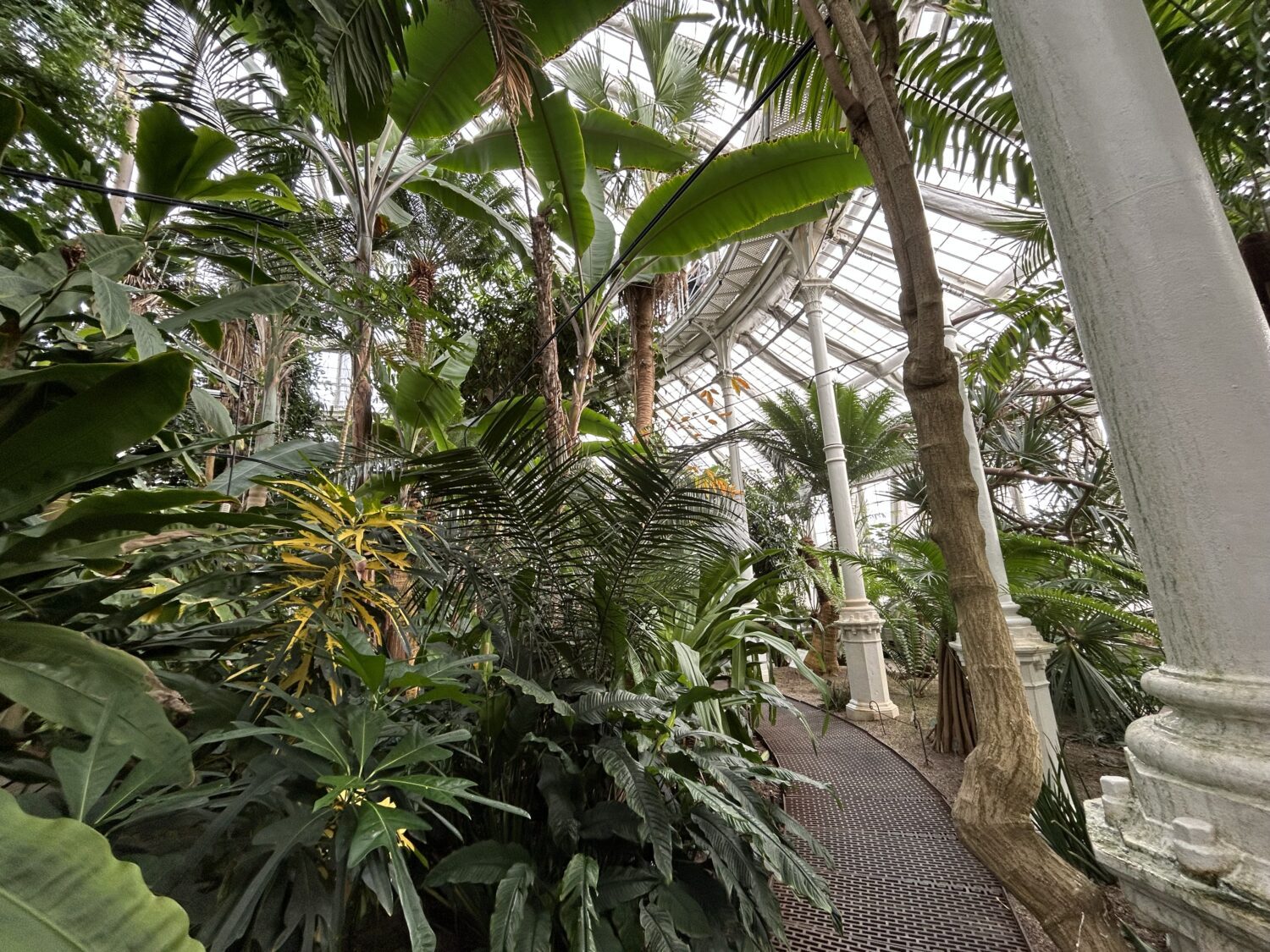 Charming & Cheap to Fly to: A Guide to Exploring Copenhagen 3 Botanic Garden interior